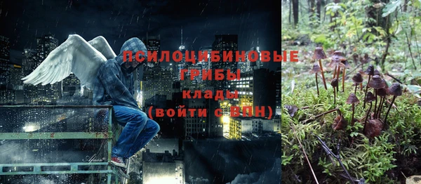 гидропоника Няндома